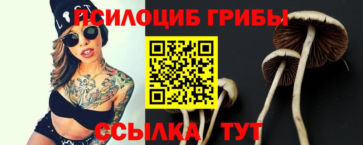 Псилоцибиновые грибы Magic Shrooms Стрежевой